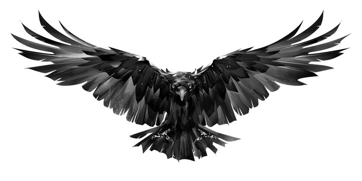 Detail Raven Image Nomer 50