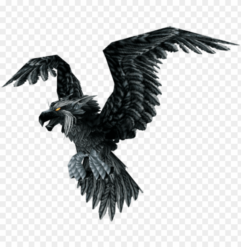 Detail Raven No Background Nomer 29