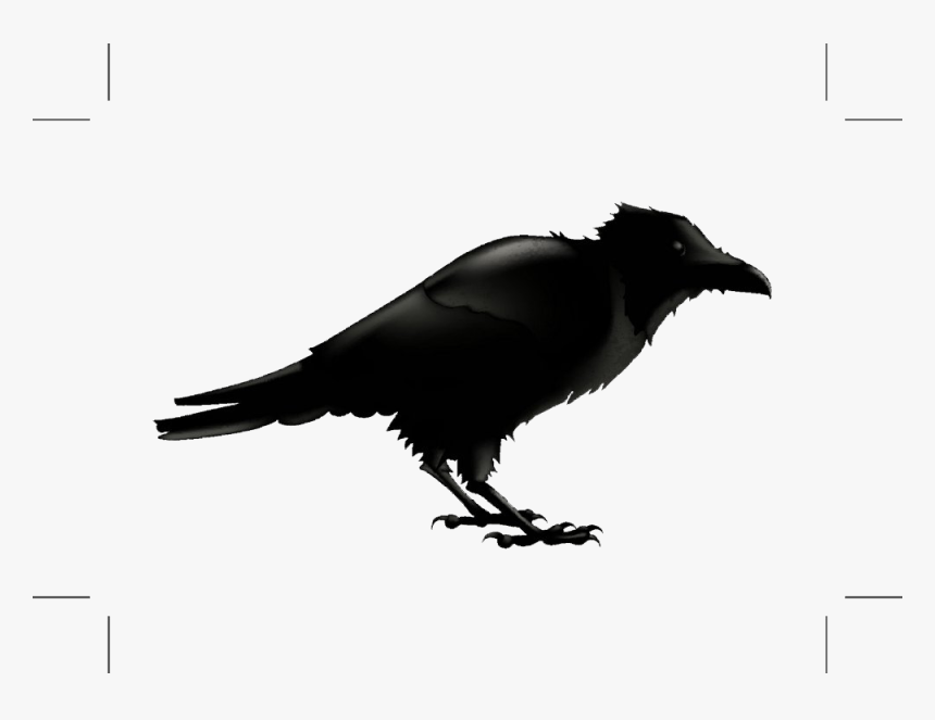 Detail Raven Png Nomer 46