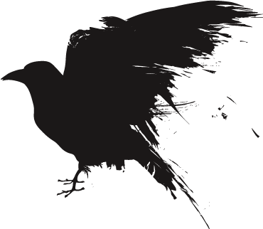 Raven Transparent - KibrisPDR