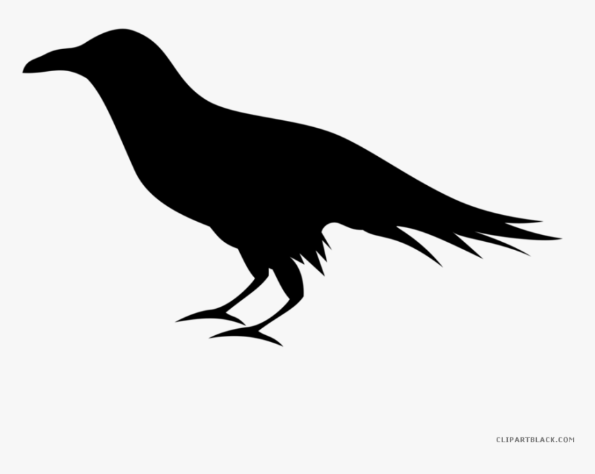 Detail Raven Transparent Nomer 14