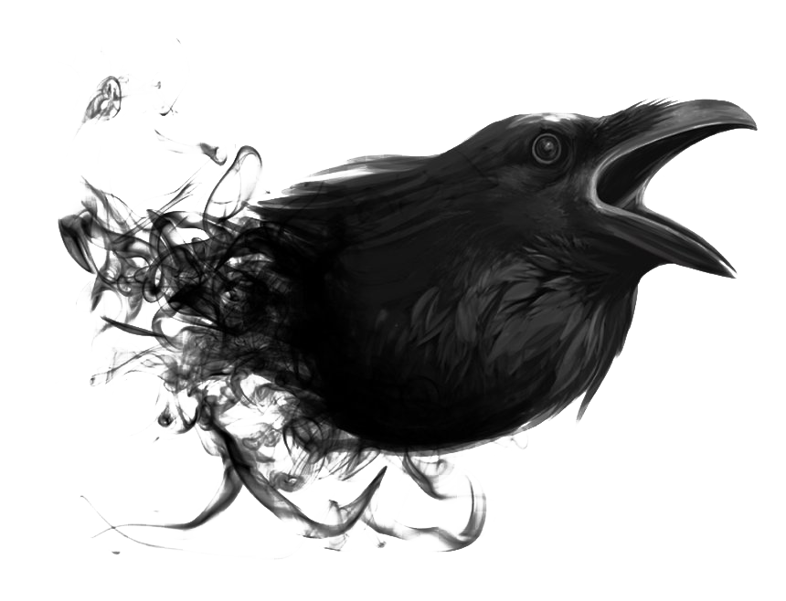 Detail Raven Transparent Nomer 30