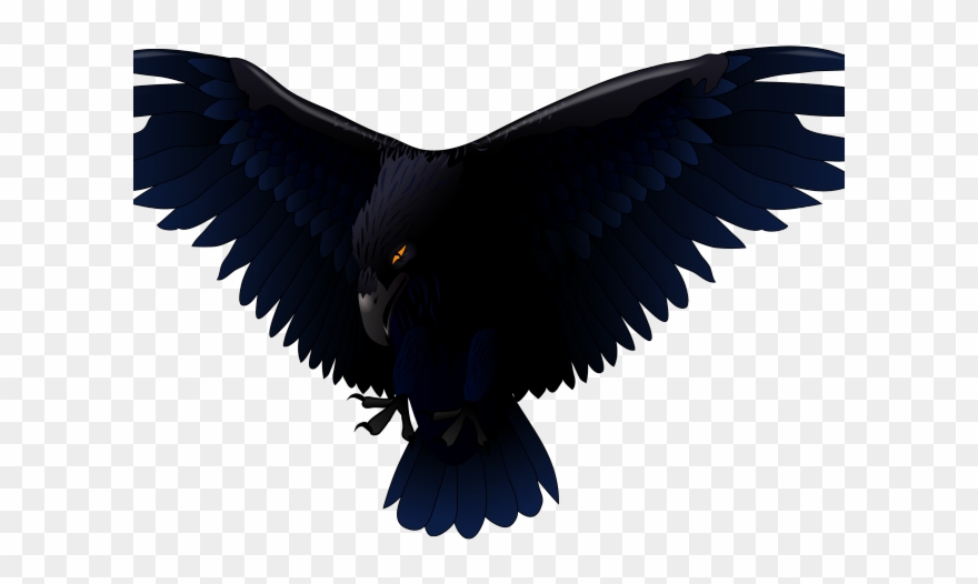 Detail Raven Transparent Nomer 41