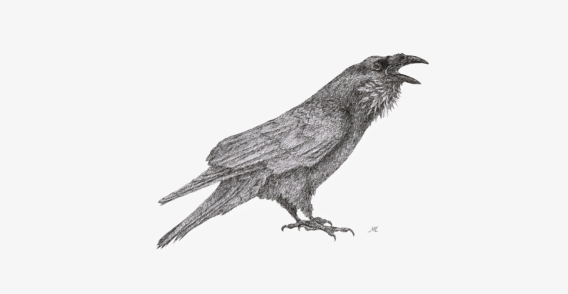 Detail Raven Transparent Nomer 46