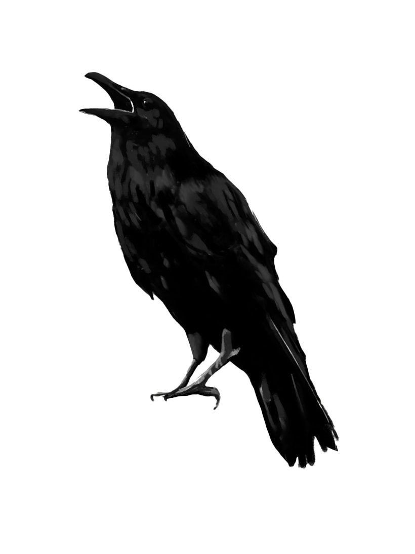 Detail Raven Transparent Nomer 6