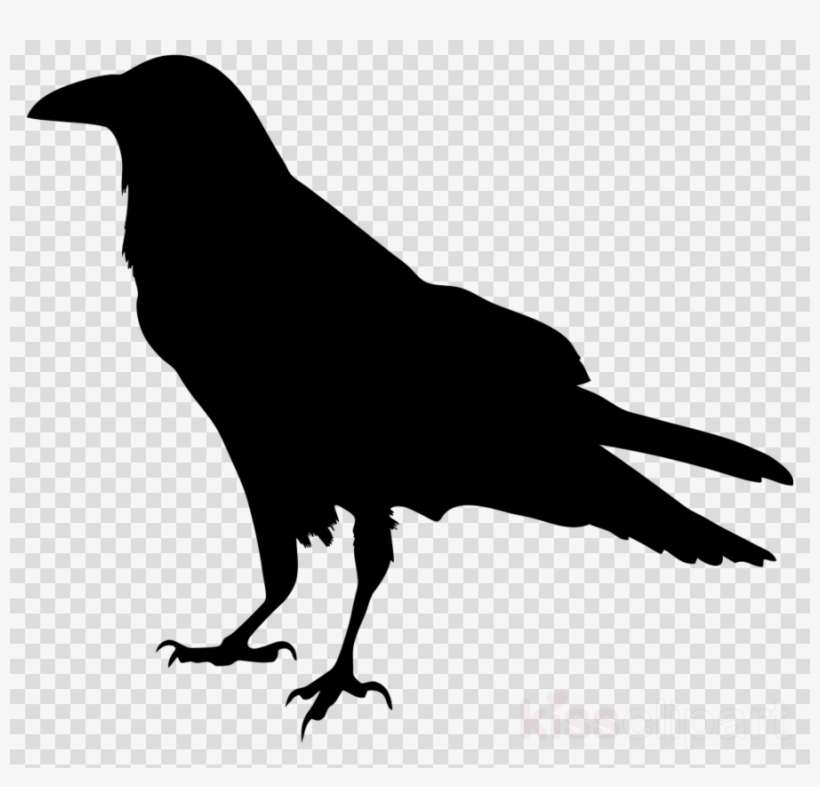 Detail Raven Transparent Nomer 9