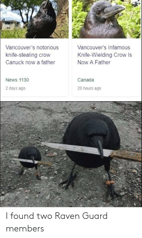 Detail Raven With Knife Meme Nomer 21