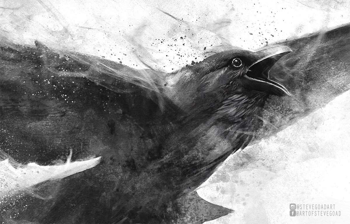 Detail Ravens In Flight Images Nomer 41