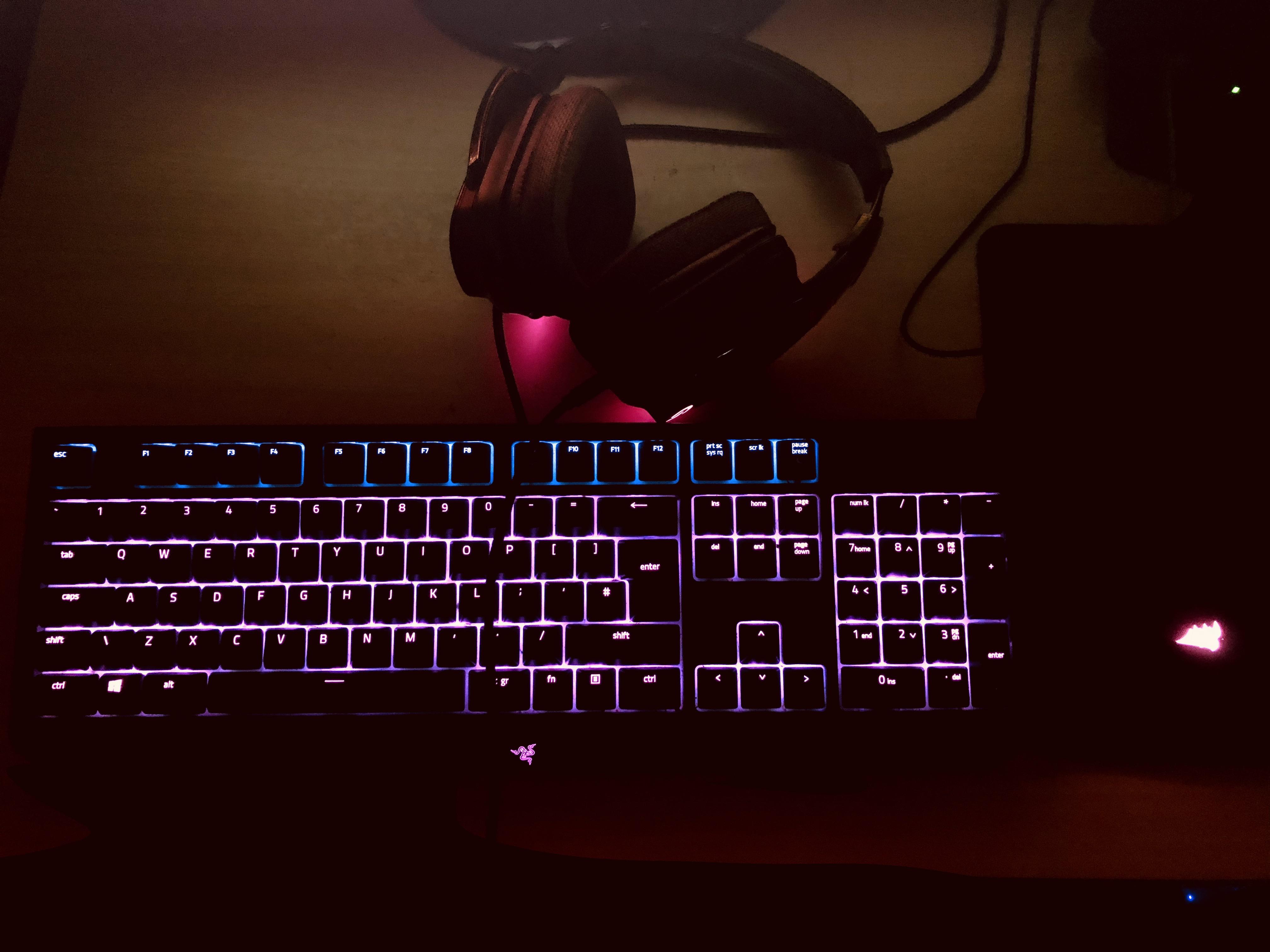 Detail Razer Blackwidow Chroma Headset Nomer 21