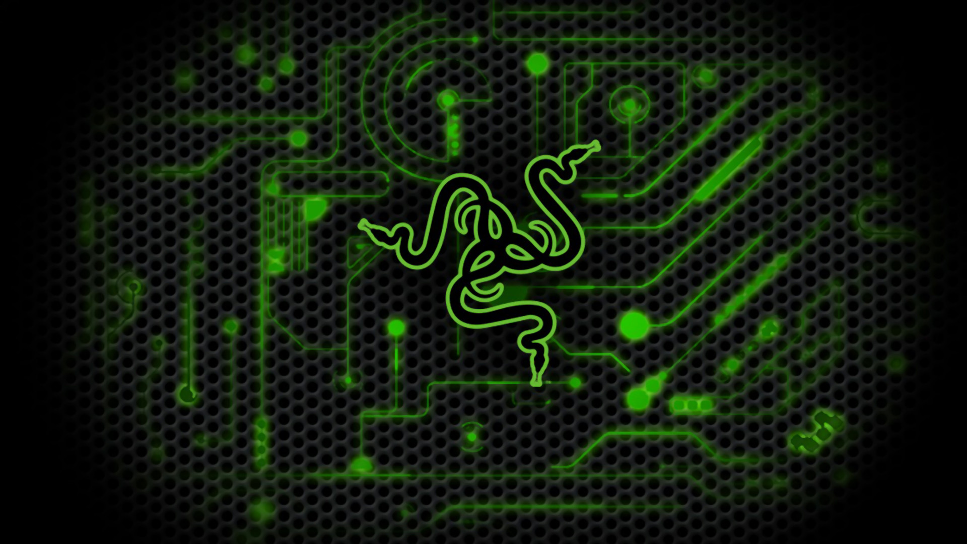 Detail Razer Logo Hd Nomer 33