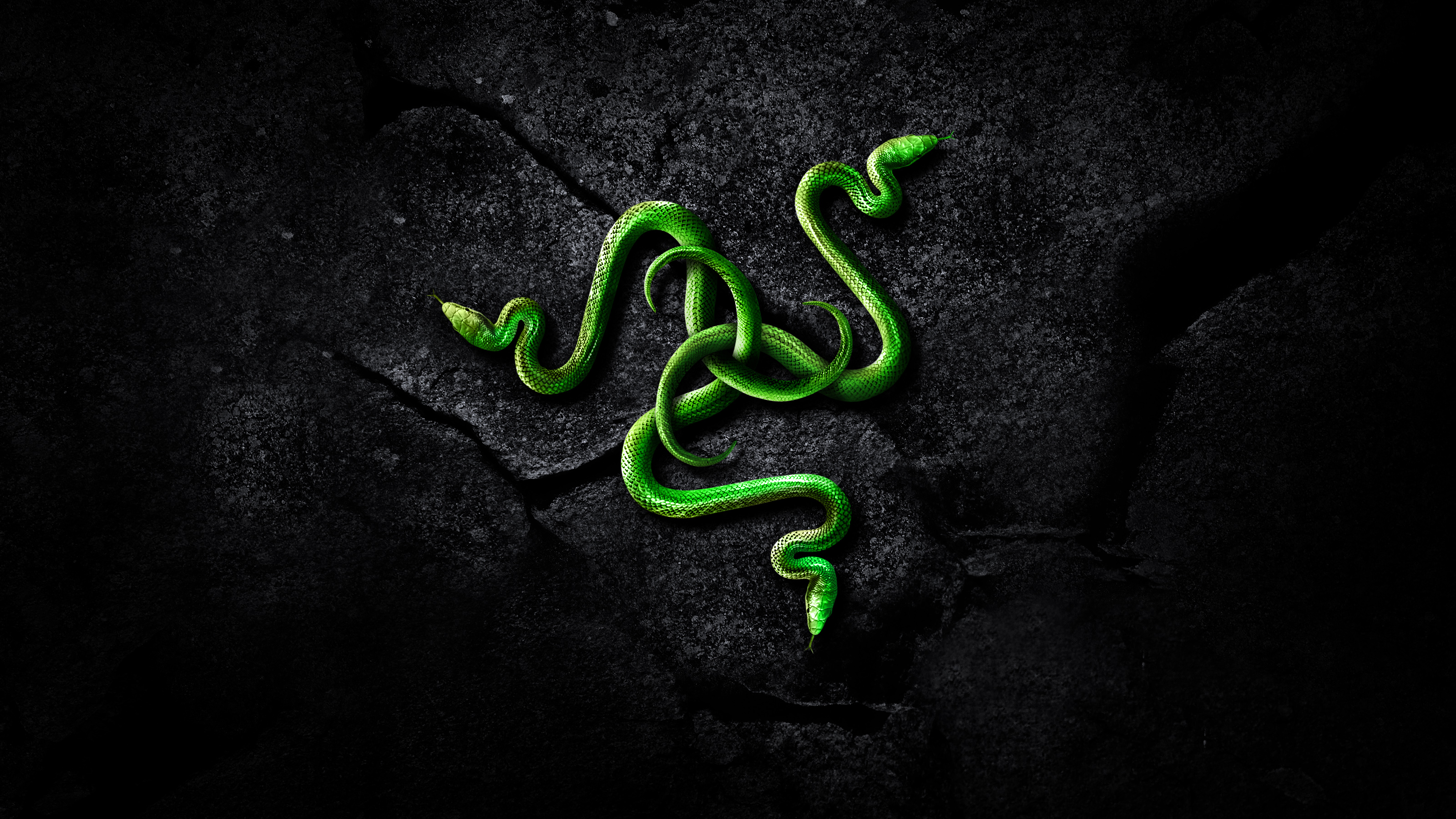 Detail Razer Wallpaper 4k Nomer 46