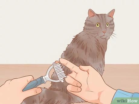 Detail Razor Comb For Cats Nomer 55