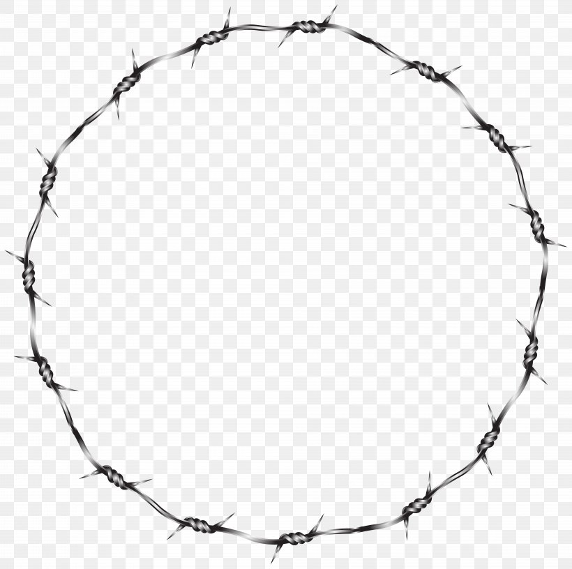 Detail Razor Wire Png Nomer 22