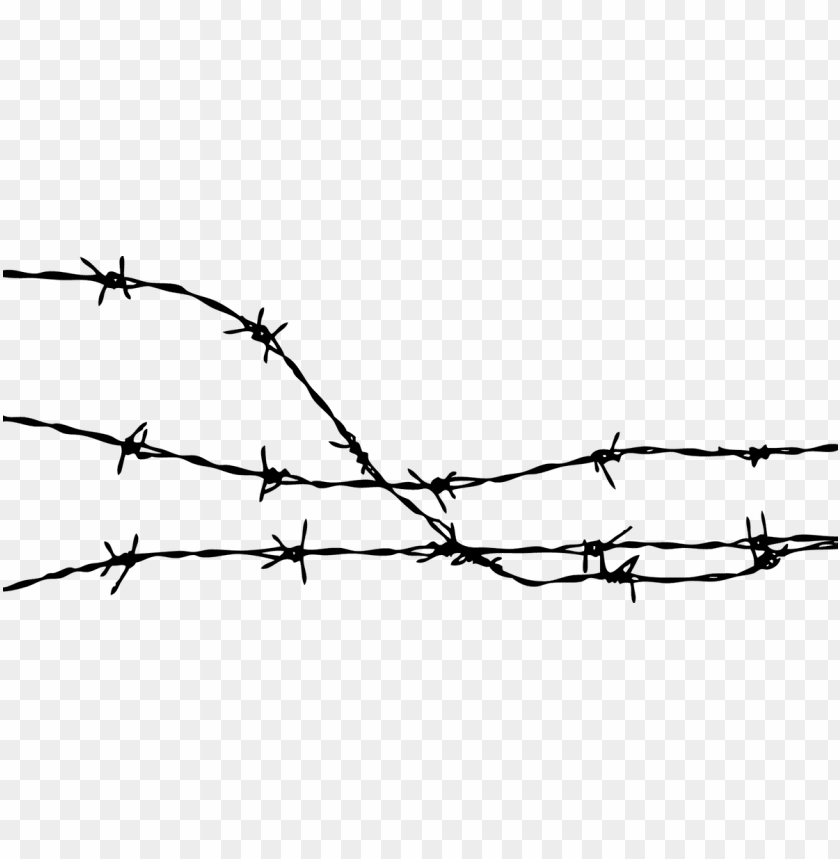 Detail Razor Wire Png Nomer 6