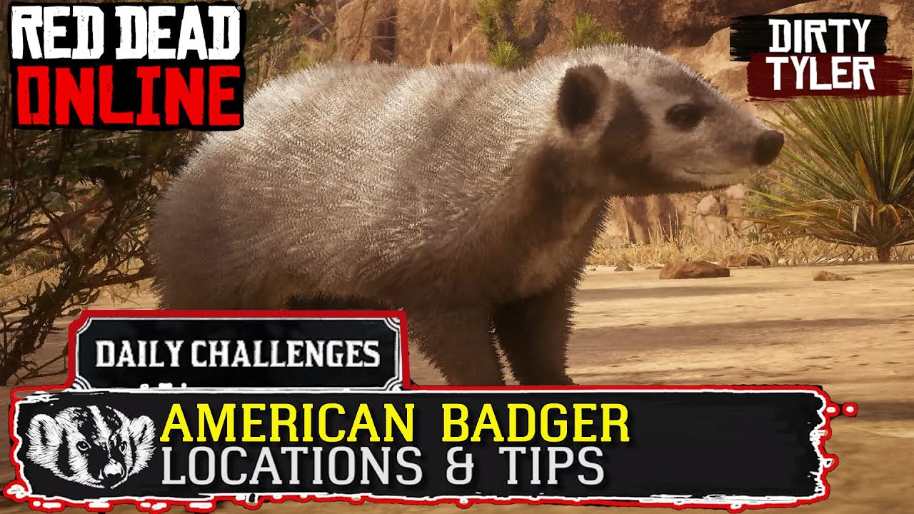 Detail Rdr 2 Badger Location Nomer 15