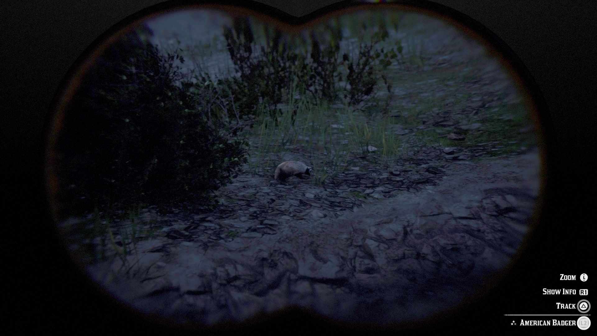 Detail Rdr 2 Badger Location Nomer 23