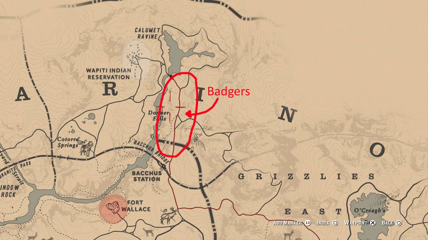 Detail Rdr 2 Badger Location Nomer 24