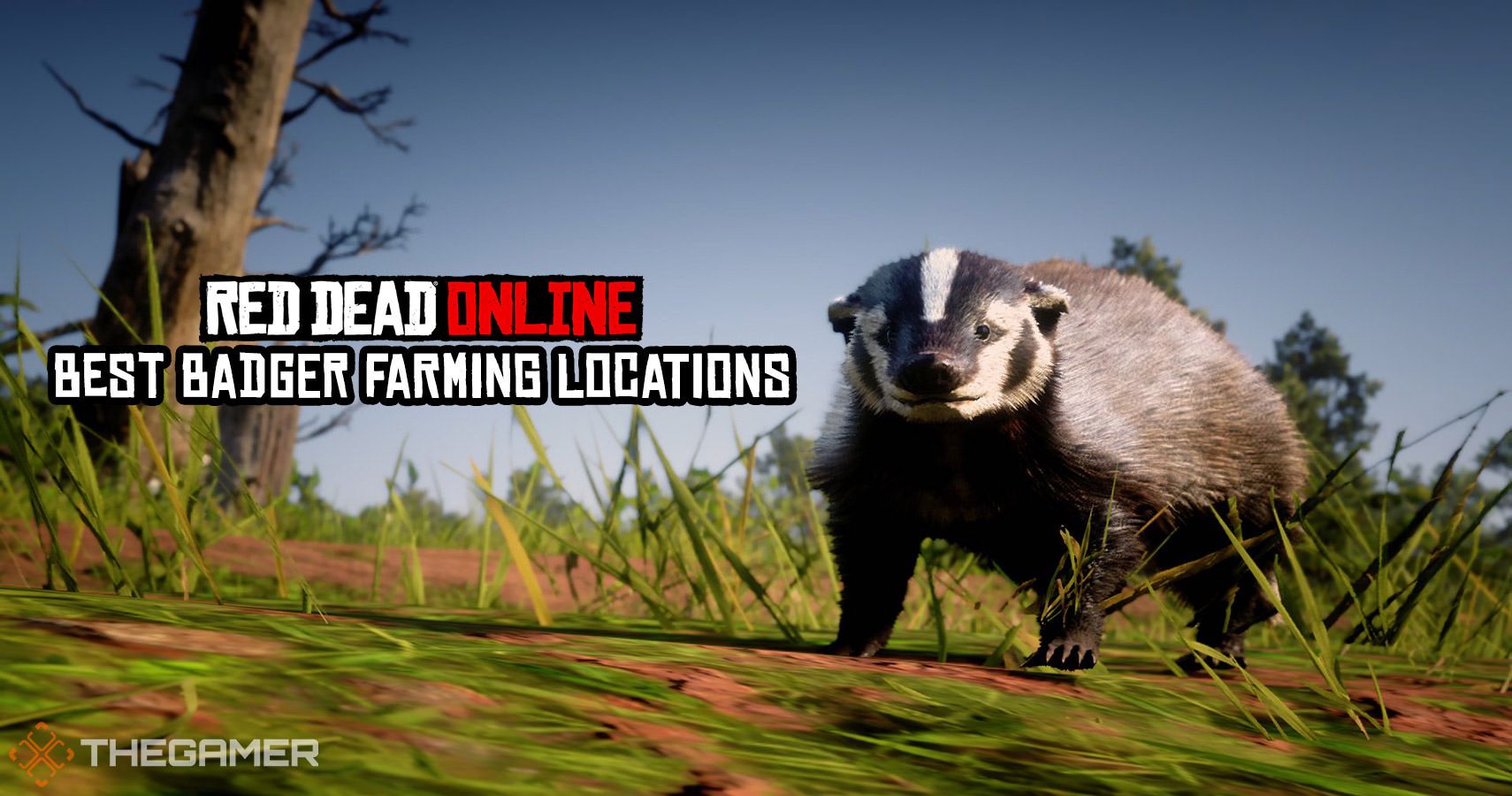 Detail Rdr 2 Badger Location Nomer 25