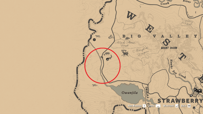 Detail Rdr 2 Badger Location Nomer 28