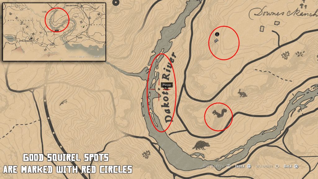 Detail Rdr 2 Badger Location Nomer 43