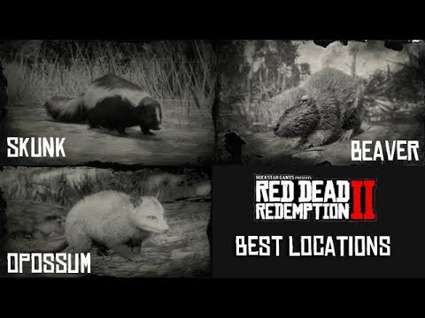 Detail Rdr Skunks Nomer 24