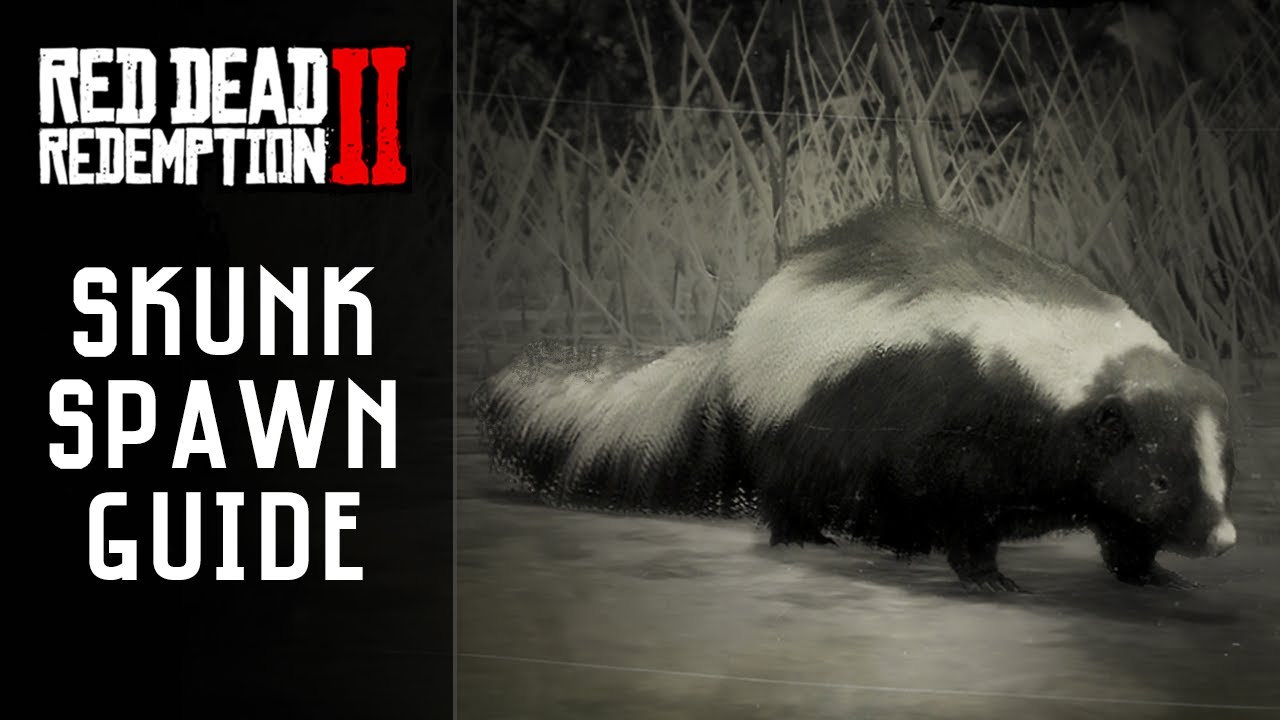 Detail Rdr Skunks Nomer 25