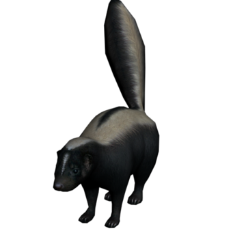 Detail Rdr Skunks Nomer 4