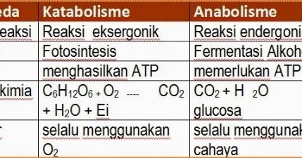 Detail Reaksi Kimia Anabolisme Nomer 2