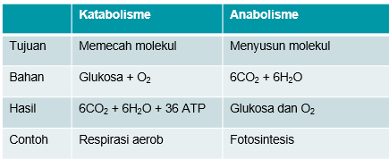 Detail Reaksi Kimia Anabolisme Nomer 25