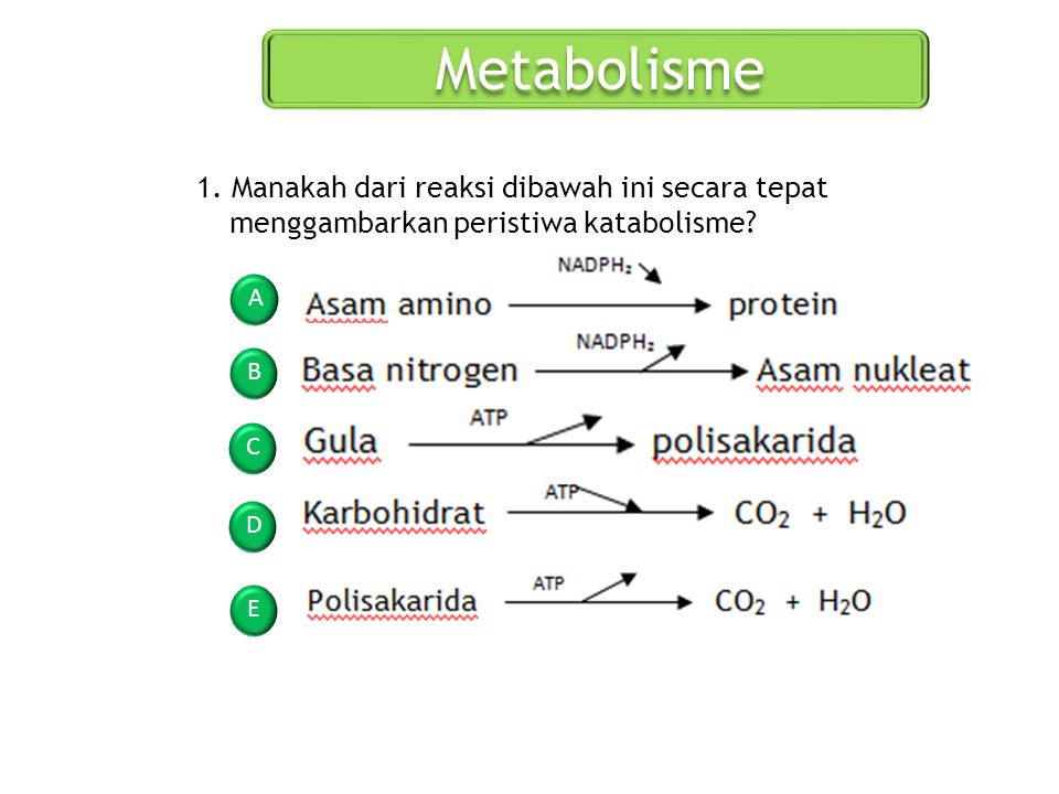 Detail Reaksi Kimia Anabolisme Nomer 9