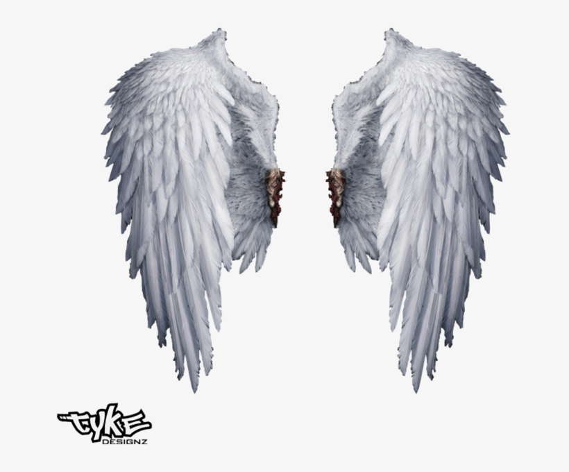 Detail Real Angel Wings Nomer 13