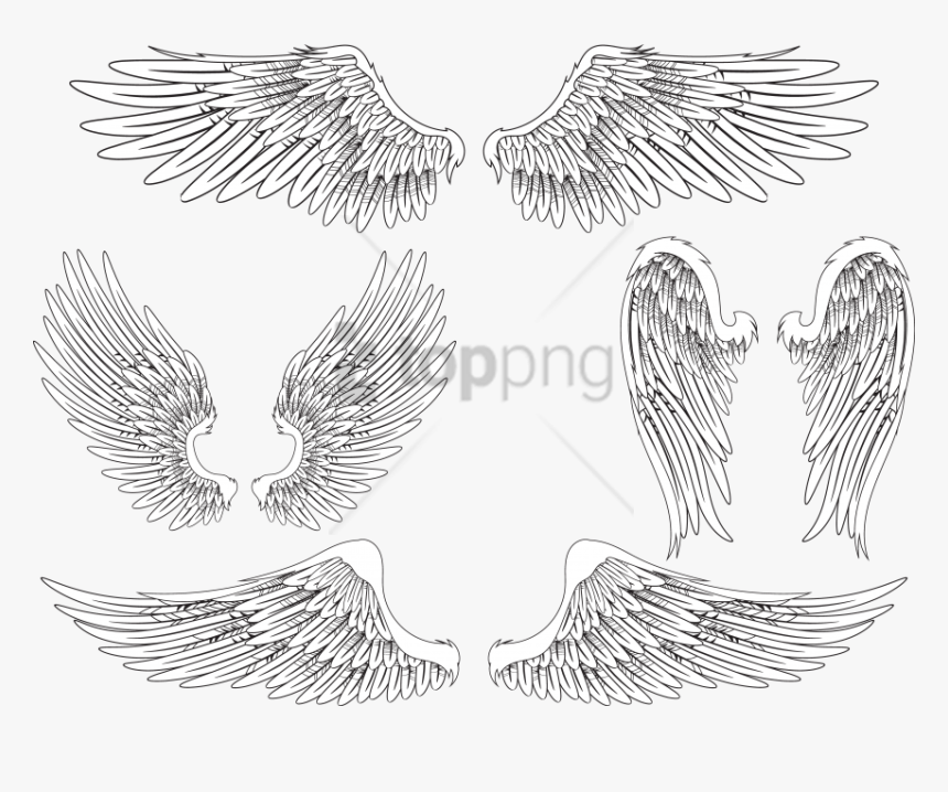 Detail Real Angel Wings Nomer 21