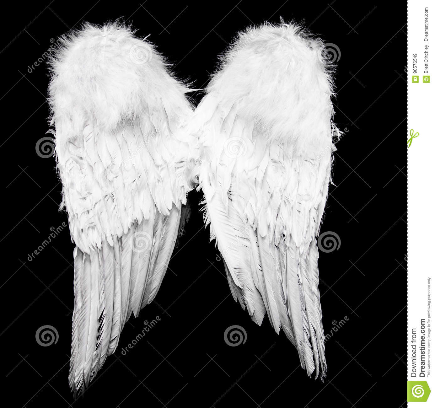 Detail Real Angel Wings Nomer 23
