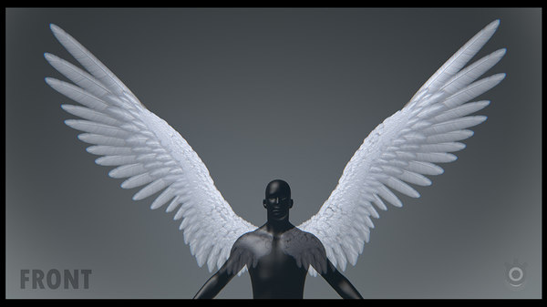 Detail Real Angel Wings Nomer 30