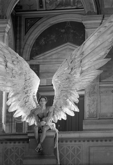 Detail Real Angel Wings Nomer 36