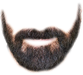 Detail Real Beard Png Nomer 8