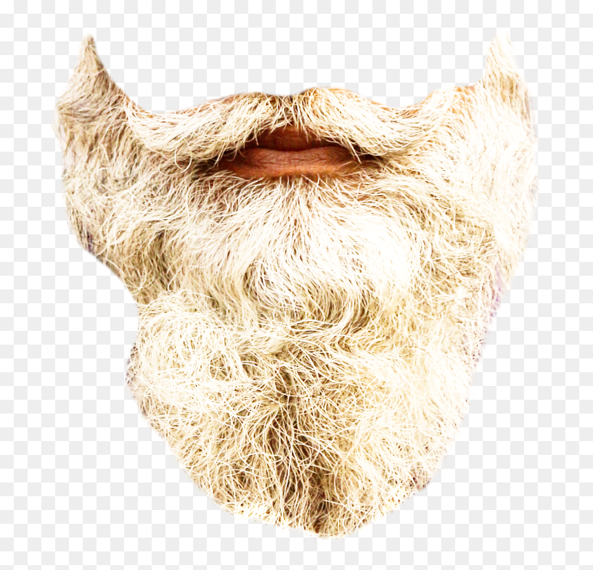 Detail Real Beard Png Nomer 29