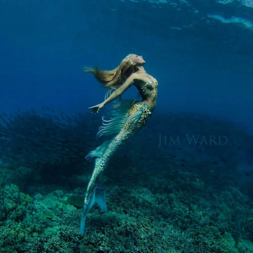Detail Real Beautiful Mermaid Nomer 39