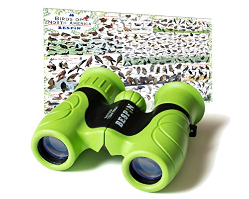 Detail Real Binocular Nomer 27