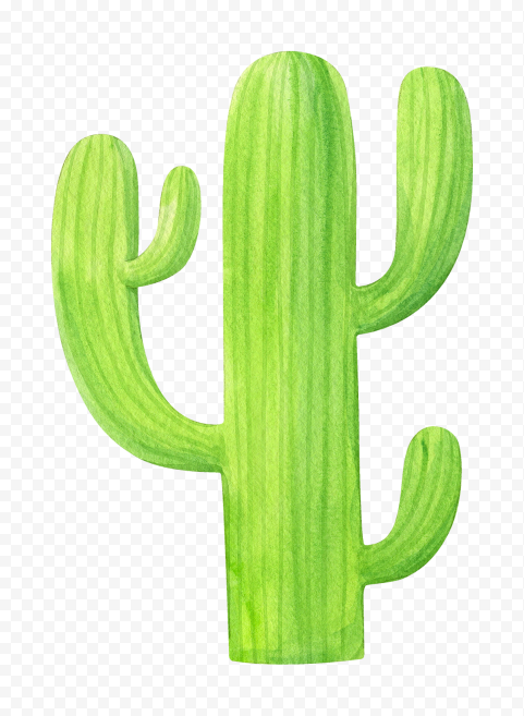 Detail Real Cactus Png Nomer 21