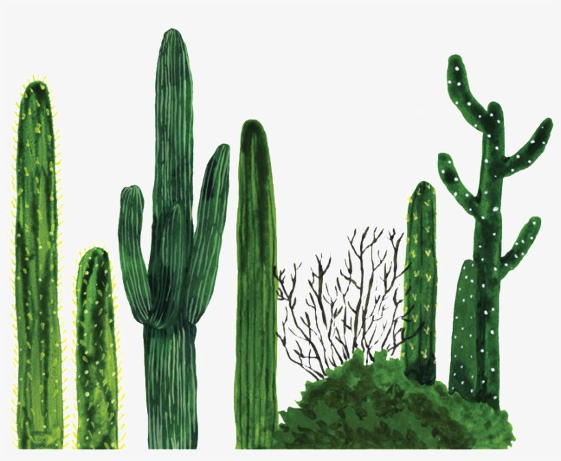 Detail Real Cactus Png Nomer 22