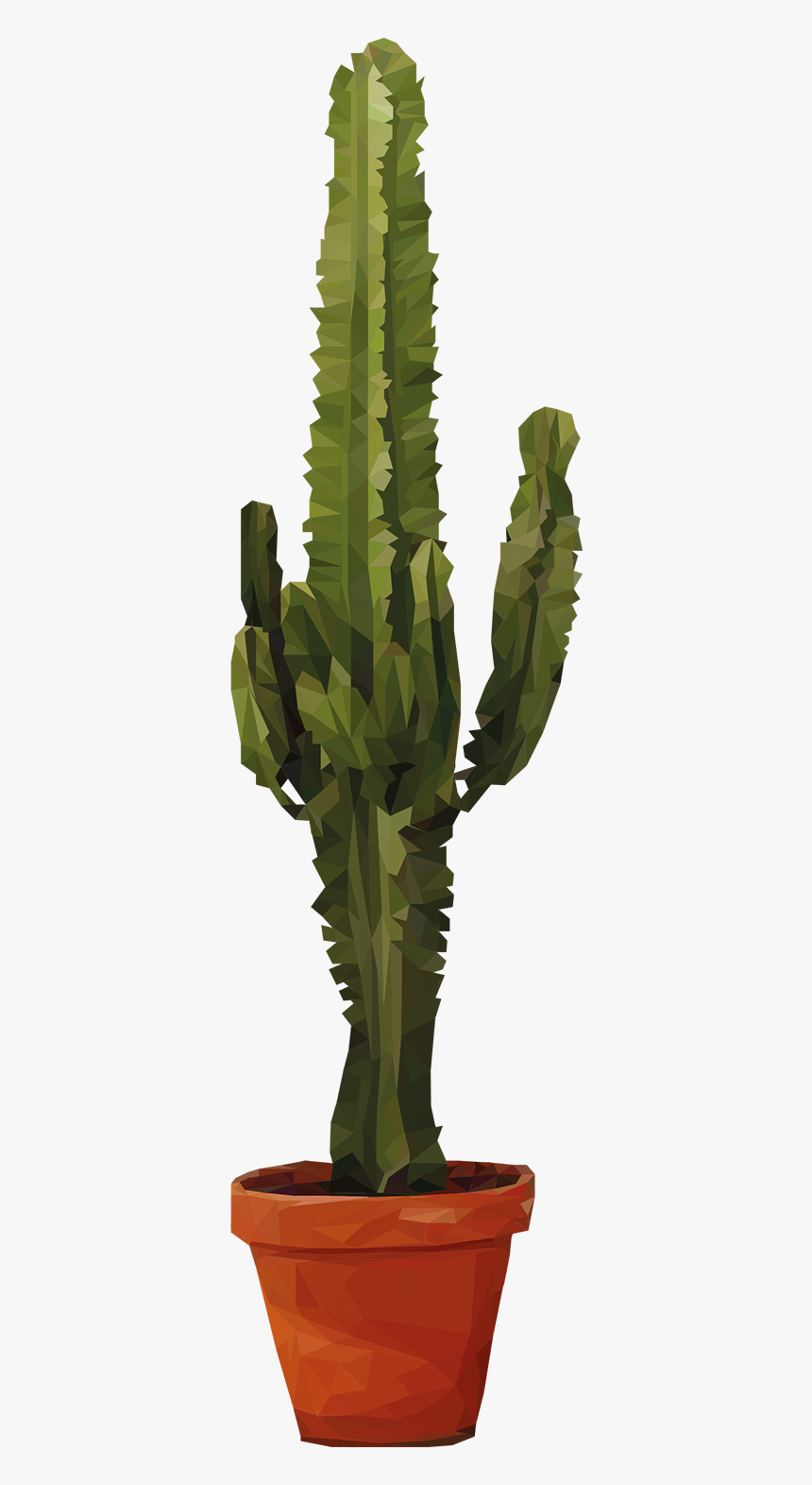 Detail Real Cactus Png Nomer 4