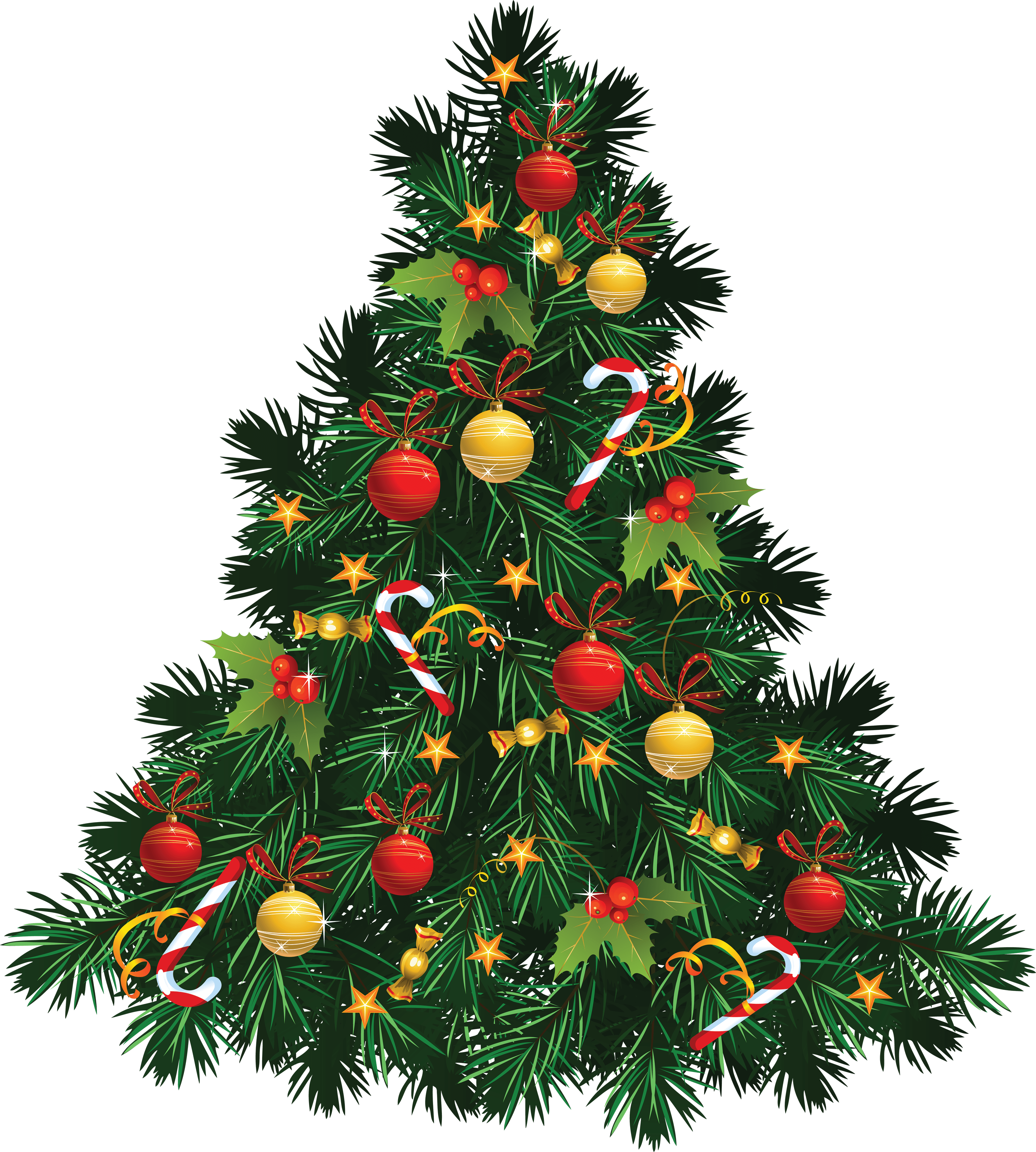 Detail Real Christmas Tree Png Nomer 12