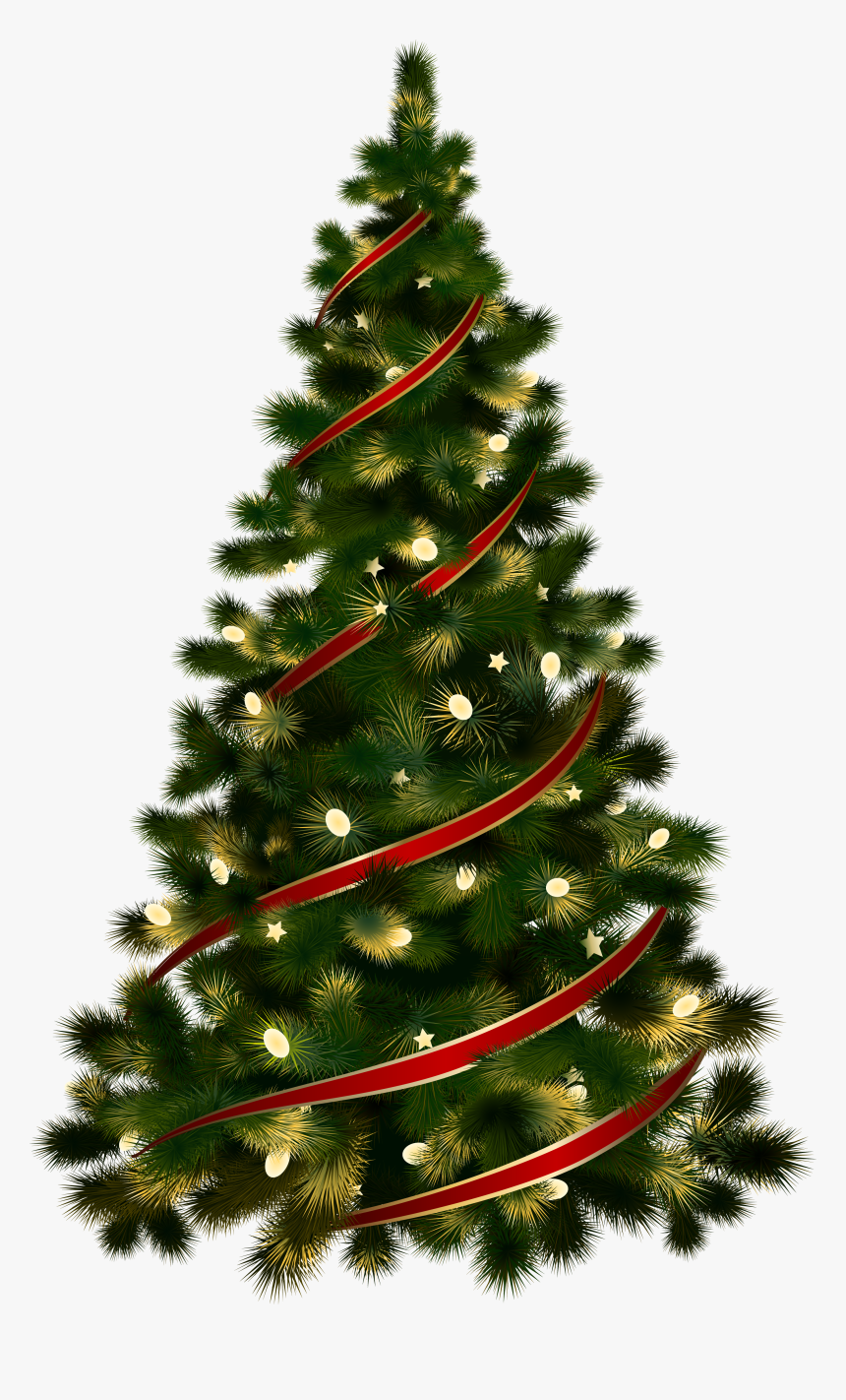 Detail Real Christmas Tree Png Nomer 14