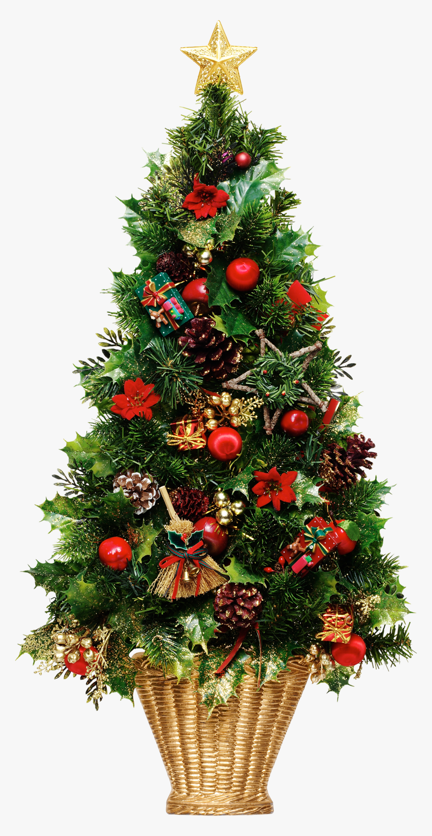 Detail Real Christmas Tree Png Nomer 3