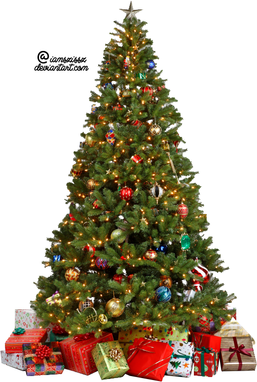 Detail Real Christmas Tree Png Nomer 24