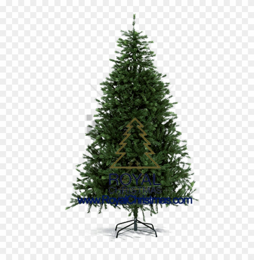 Detail Real Christmas Tree Png Nomer 30