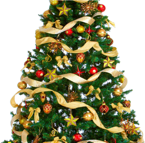 Detail Real Christmas Tree Png Nomer 34