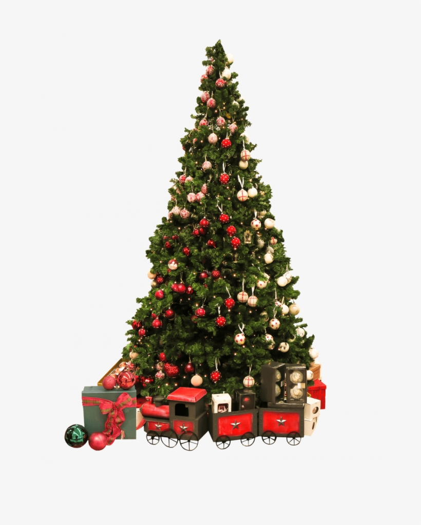 Detail Real Christmas Tree Png Nomer 45