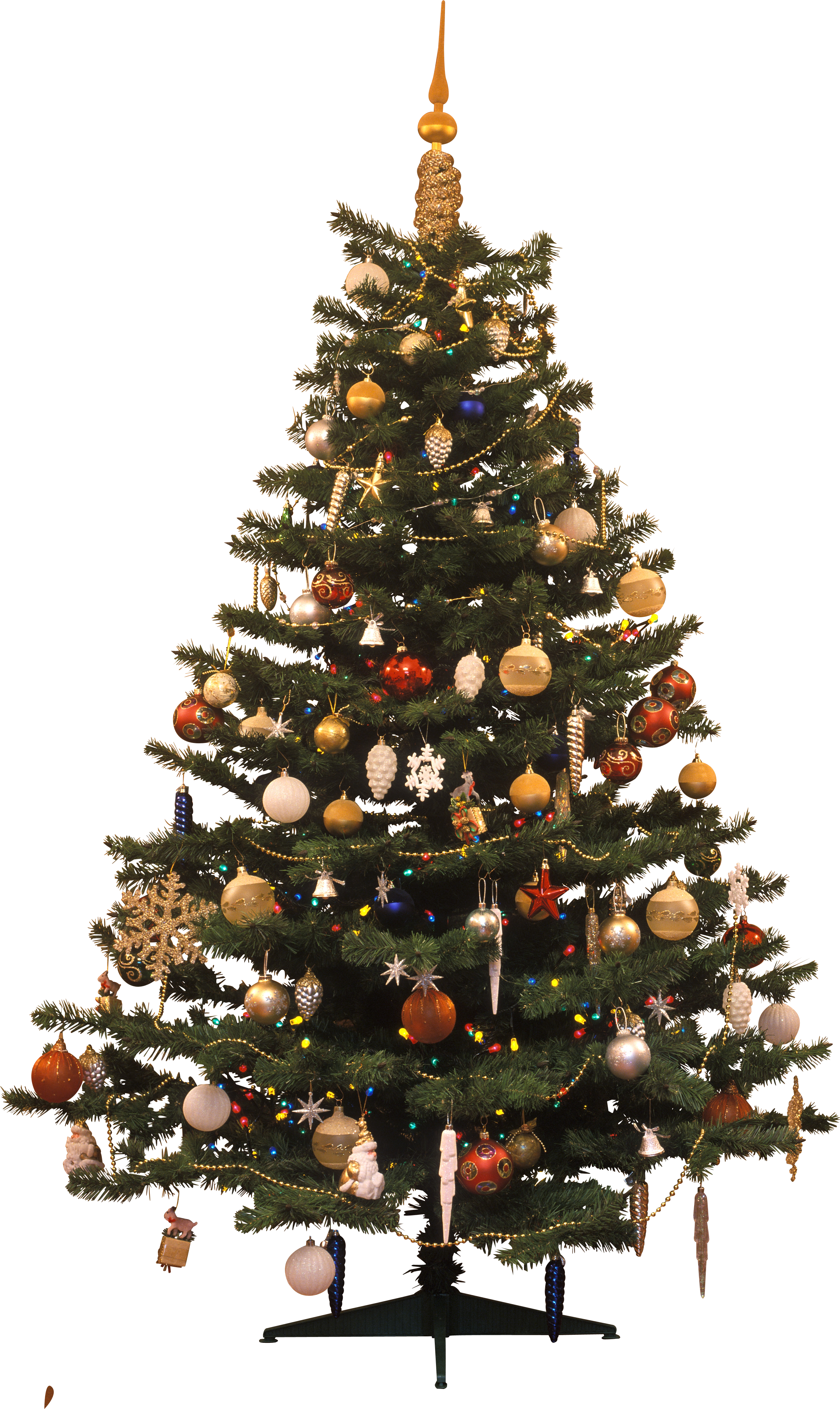 Detail Real Christmas Tree Png Nomer 9